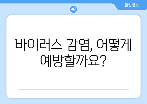 컴퓨터 바이러스 감염 예방과 대처법 완벽 정리